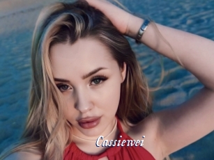 cassiewei Cam 5
