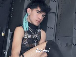 Cat_bad