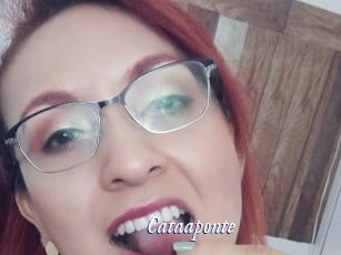 Cataaponte