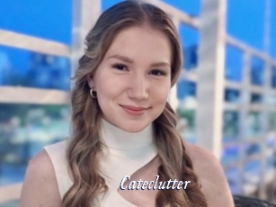 Cateclutter