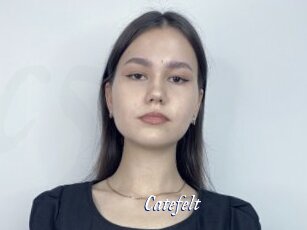 Catefelt