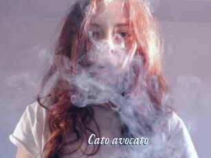 Cato_avocato