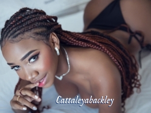 Cattaleyabackley