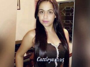 Cattleya2025