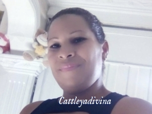 cattleyadivina Cam 5