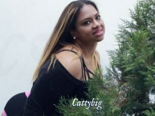 Cattybig