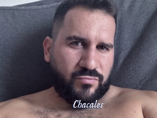 Chacales