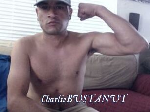 CharlieBUSTANUT