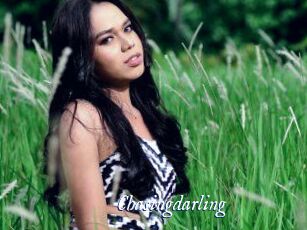Chasingdarling