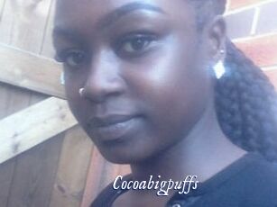 Cocoabigpuffs
