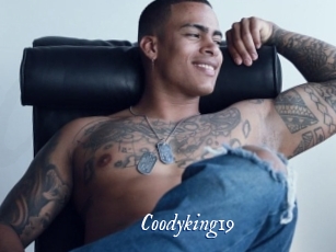coodyking19 Cam 5