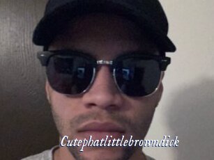 Cutephatlittlebrowndick