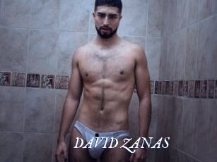 DAVID_ZANAS