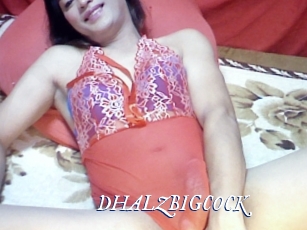 DHALZBIGCOCK Cam 5
