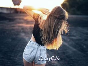 DaisyColle
