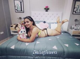 Daliaflowers