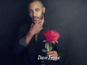 DamFenix