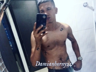 Damianhorny24