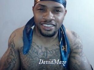 David_Maze
