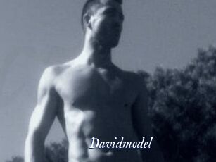 Davidmodel