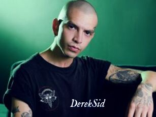 DerekSid