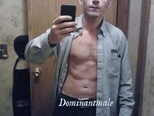 Dominantmale