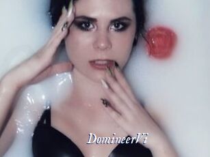 DomineerVi