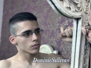 DominicSullivan