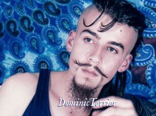 DominicTerrier Cam 5