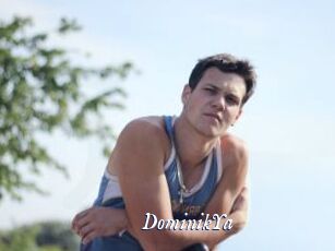 DominikYa