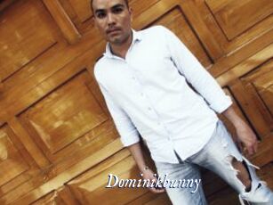 Dominikbunny