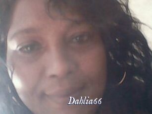 Dahlia66