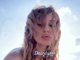 Daisyburge