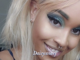 Daisycanary
