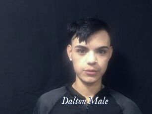 Dalton_Male