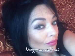 Dangerous_wild_cat