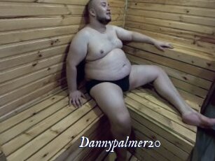 Dannypalmer20
