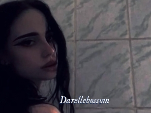 Darellebossom