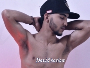 david_harlow Cam 5