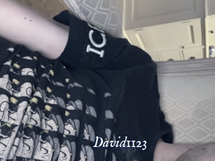 David1123
