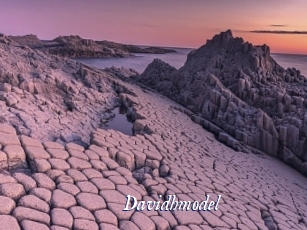 Davidhmodel