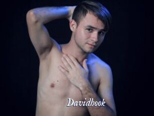 Davidhook