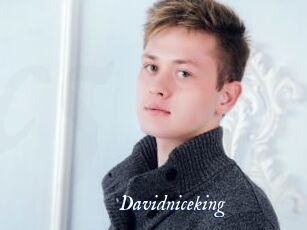 Davidniceking