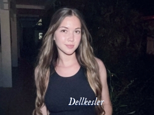 Dellkesler