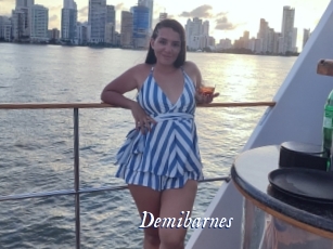 Demibarnes
