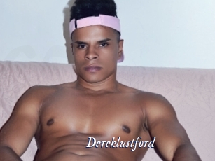dereklustford Cam 5