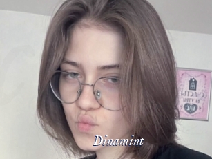 Dinamint
