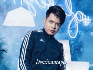 Dominantapolo