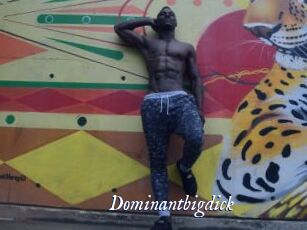 Dominantbigdick