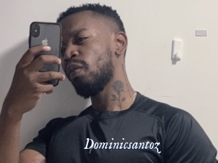 Dominicsantoz